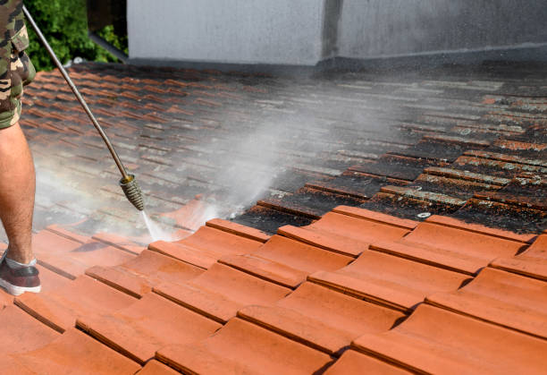 Best Pressure Washing Patio  in USA